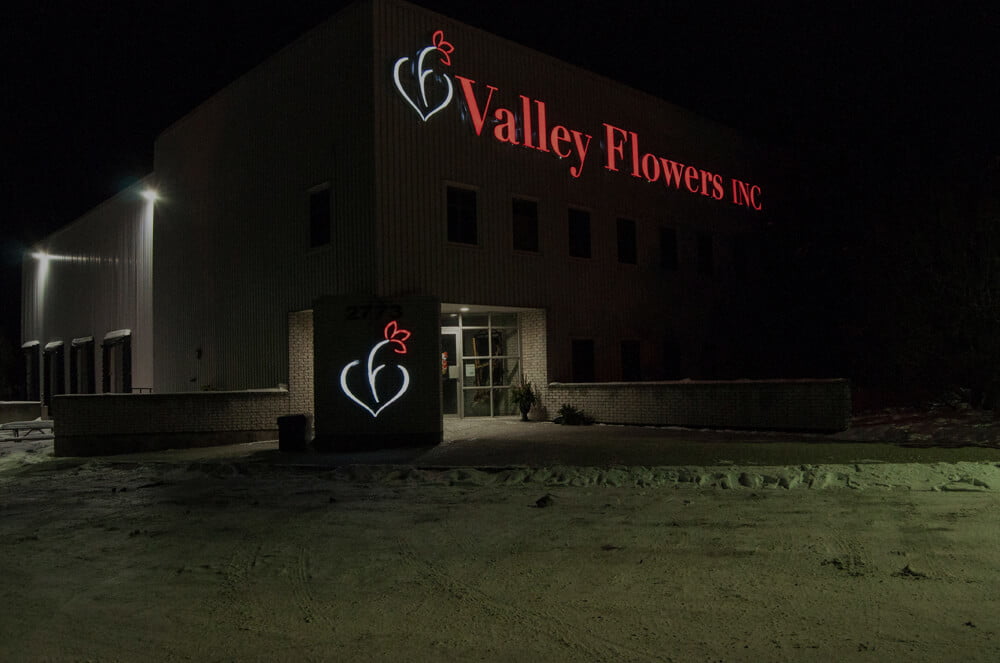 Valley Flowers LED